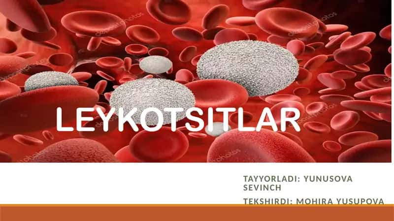 LEYKOTSITLAR 1
