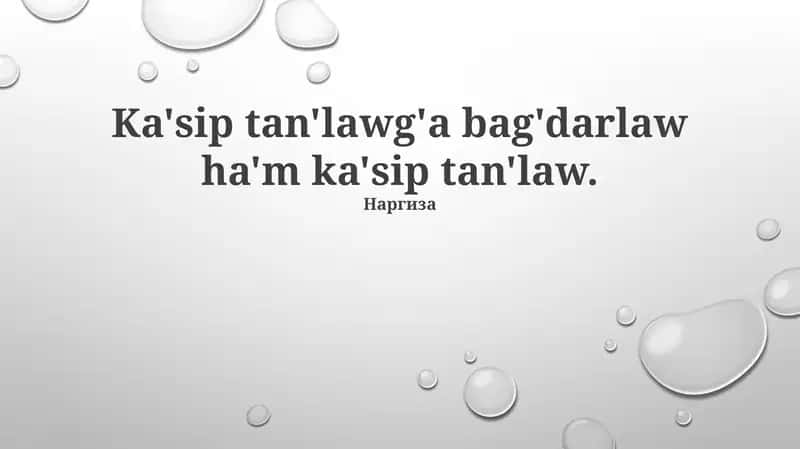 Kásiplik baǵdar 1