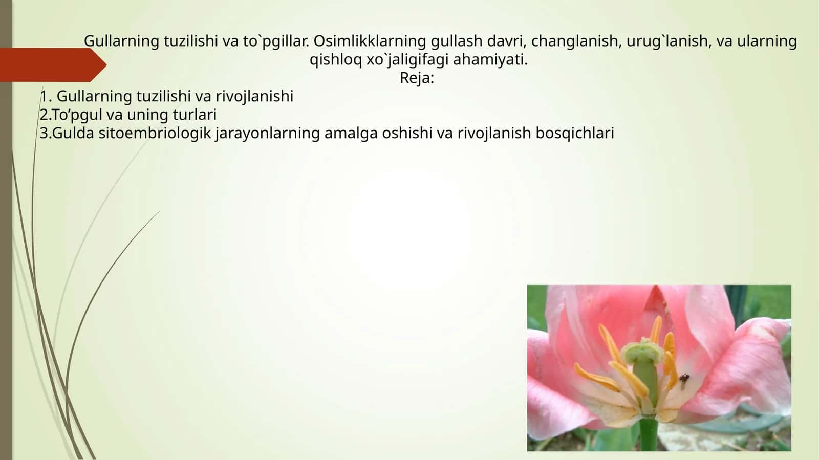 Osimlikklarning gullash davri 1