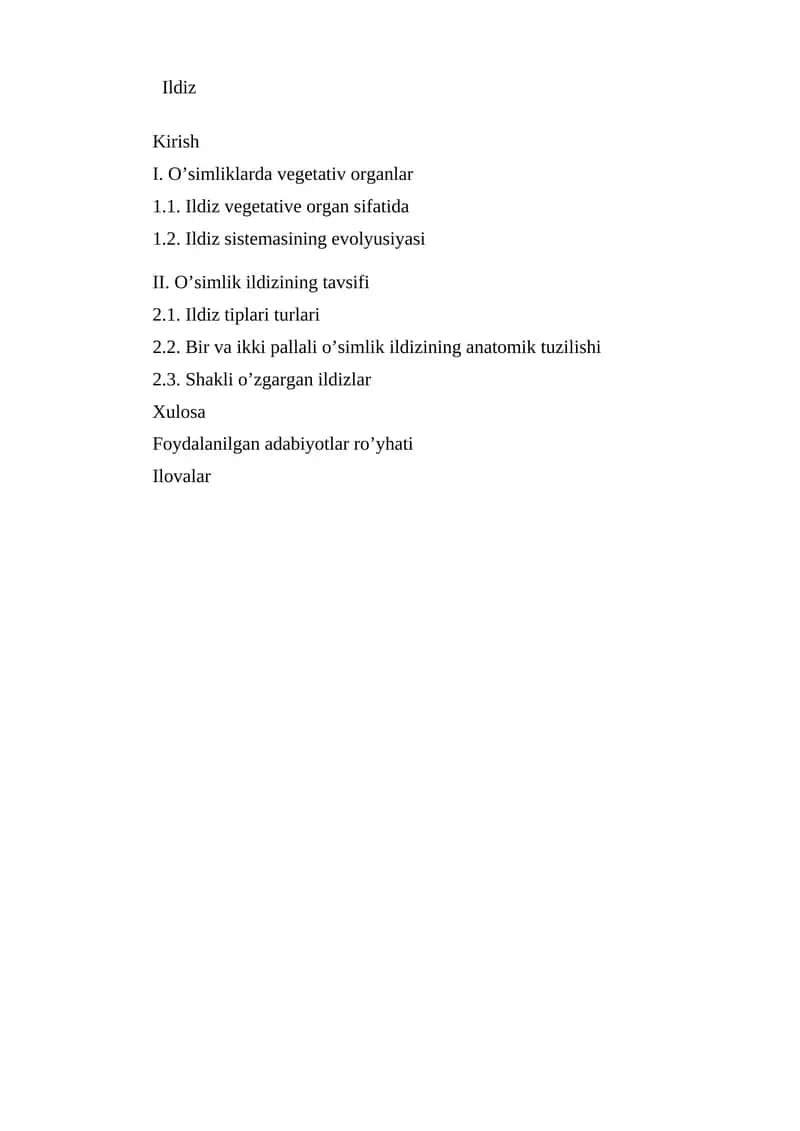 Ildiz 1