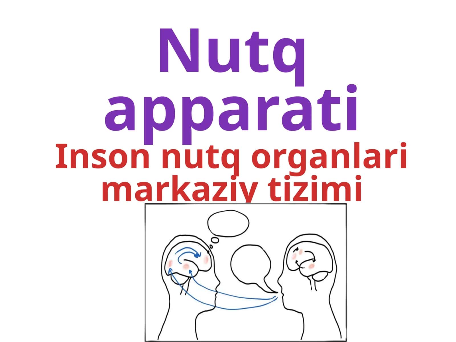 Nutq apparati 1