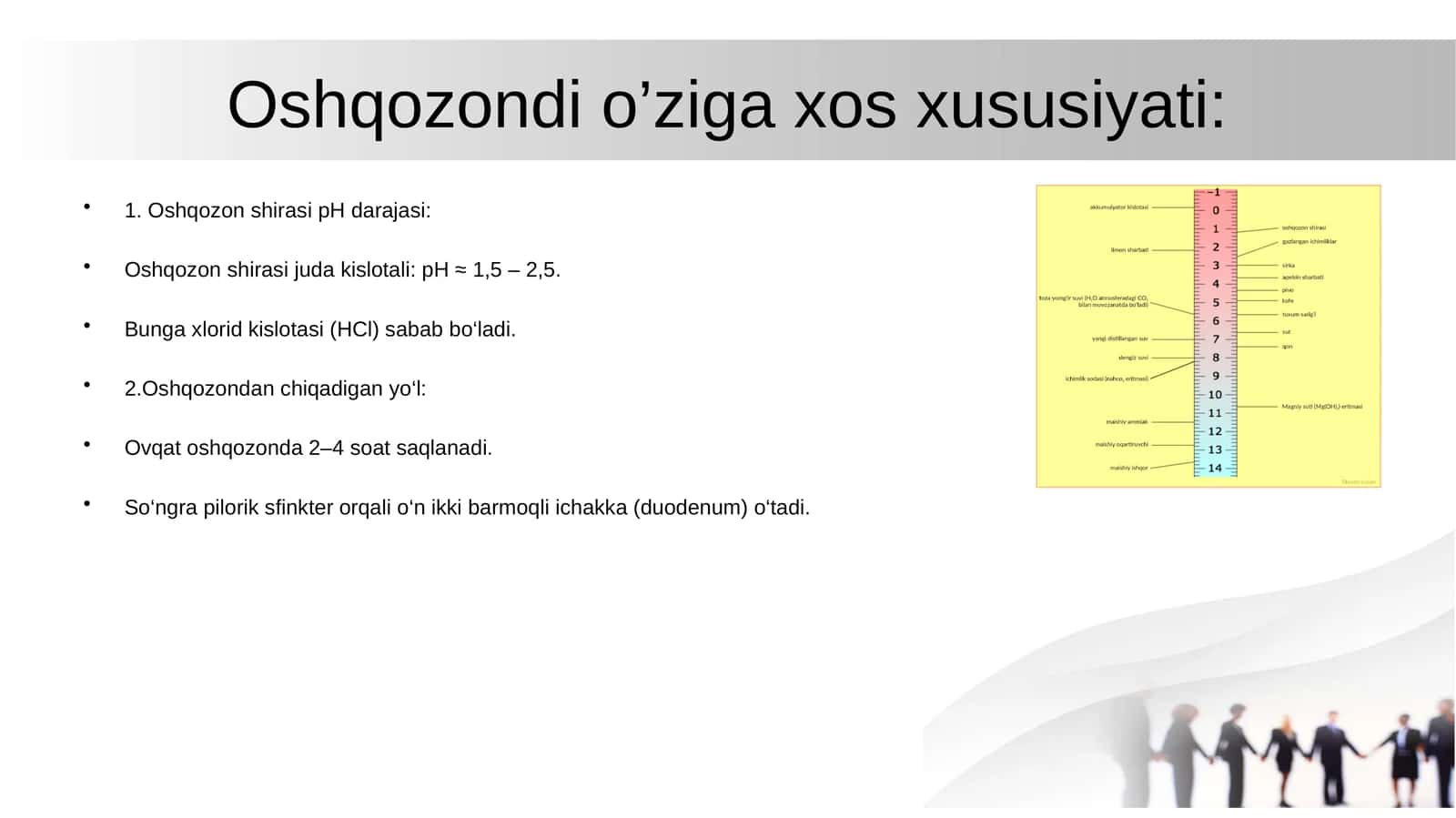 Oshqozon fiziologiyasi: Rasulov 1