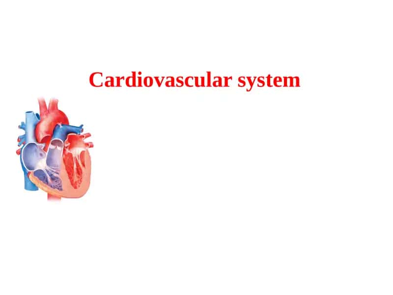 Cardiovascular system 1