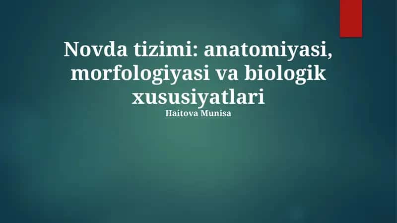 Novda tizimi: anatomiyasi, morfologiyasi va biologik xususiyatlari 1