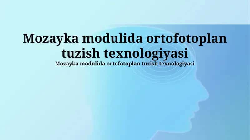 Mozayka modulida ortofotoplan tuzish texnologiyasi 1