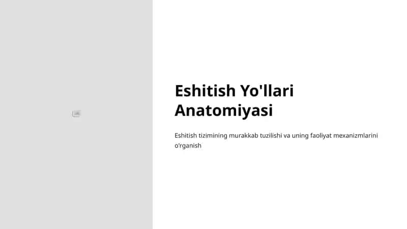 Eshitish Yo'llari Anatomiyasi 1