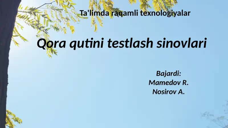 Test dasturi (SW) hal qilinishi kerak kodi 1