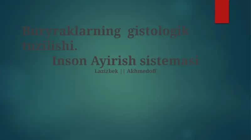 Buyraklarning gistologik tuzilishi 1
