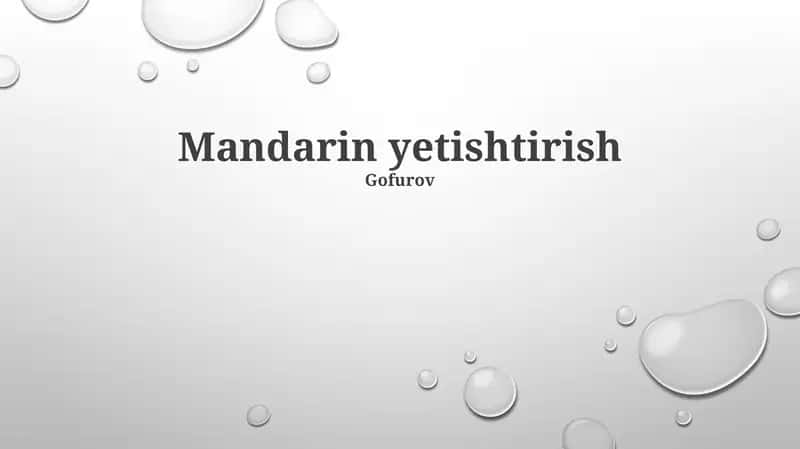 Mandarin yetishtirish 1