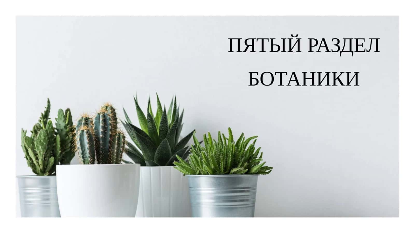 ПЯТЫЙ РАЗДЕЛ БОТАНИКИ 1