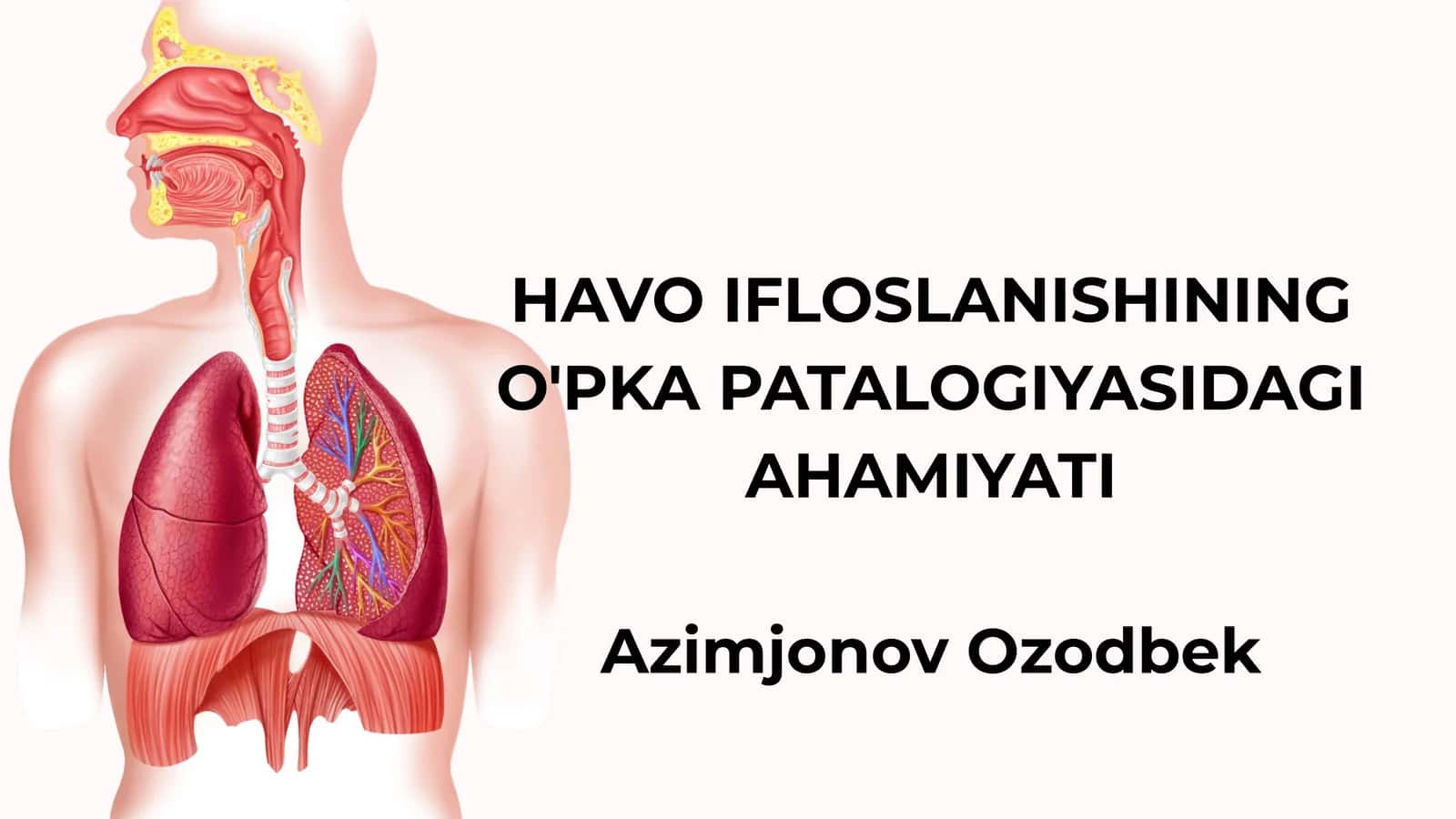 HAVO IFLOSLANISHINING O'PKA PATALOGIYASIDAGI AHAMIYATI 1