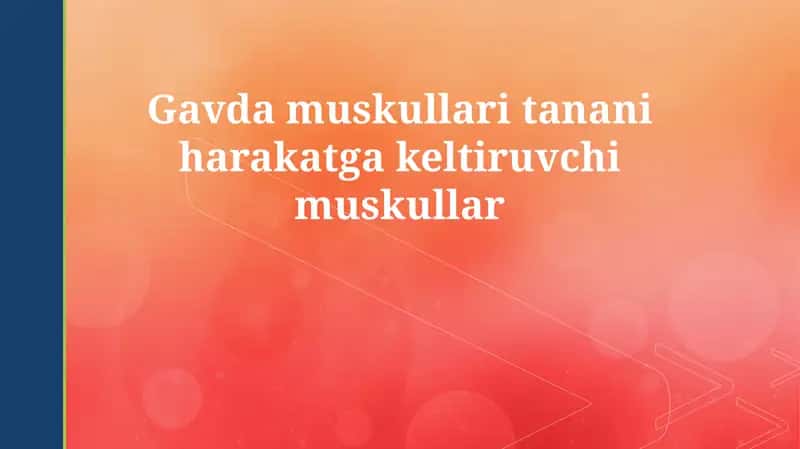 Skeletal mushaklar: Umumiy ko'rinish 1