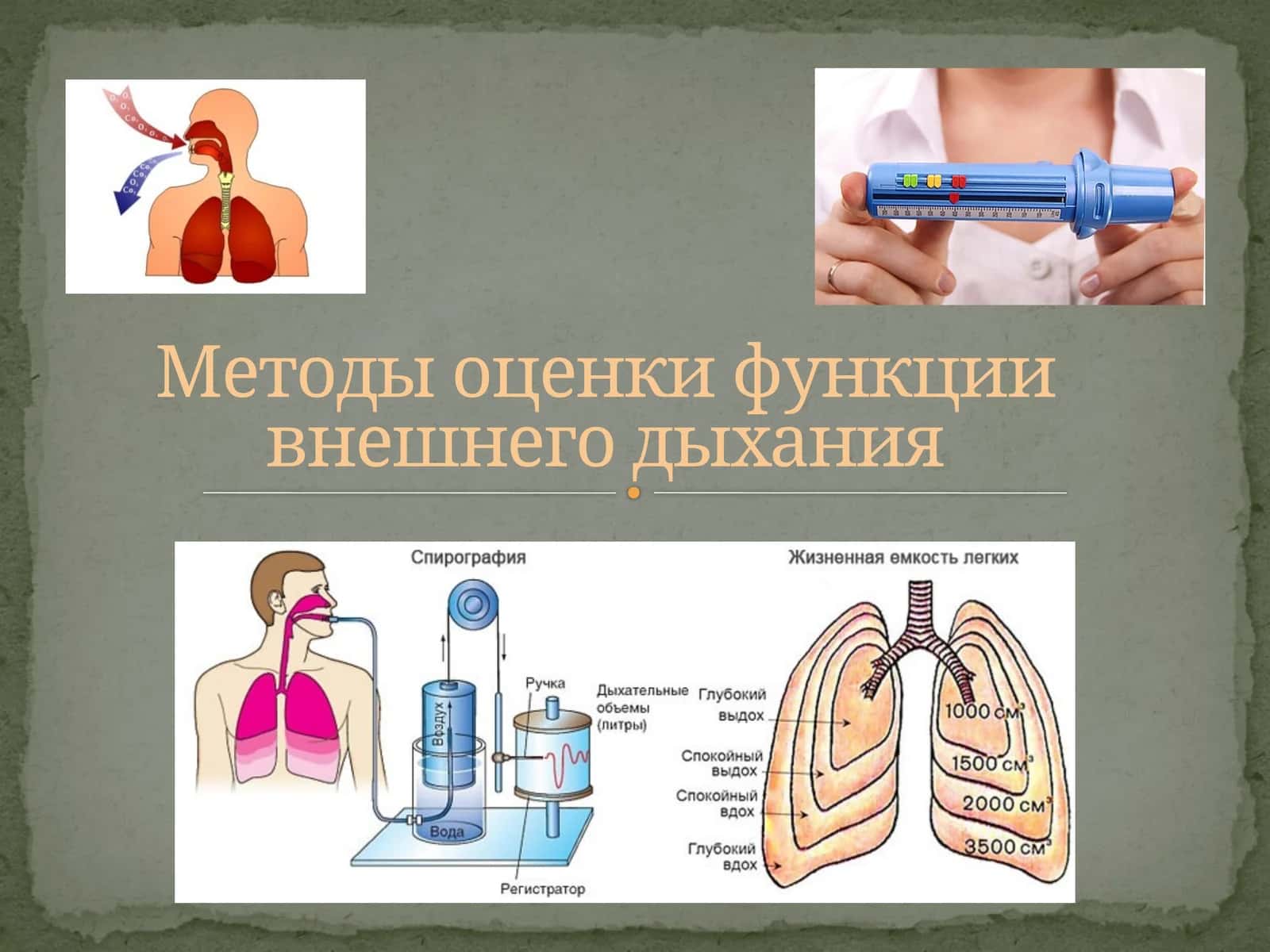 Методы оценки функции внешнего дыхания 1