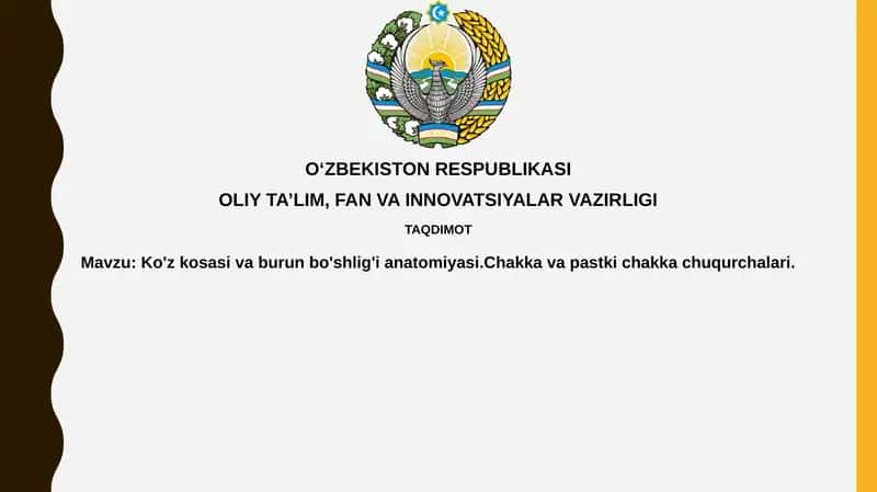 Orbita Anatomiyasi 1