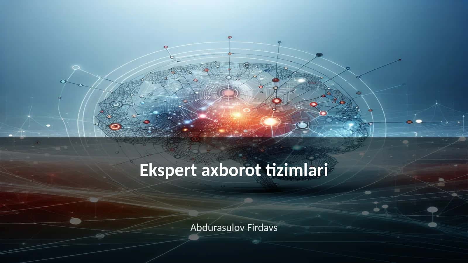 Ekspert axborot tizimlari 1
