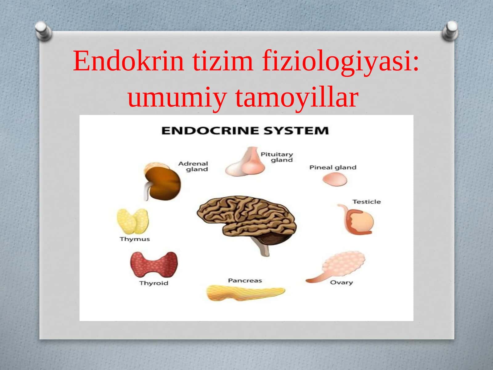 Endokrintizimfiziologiyasi:umumiytamoyillar 1