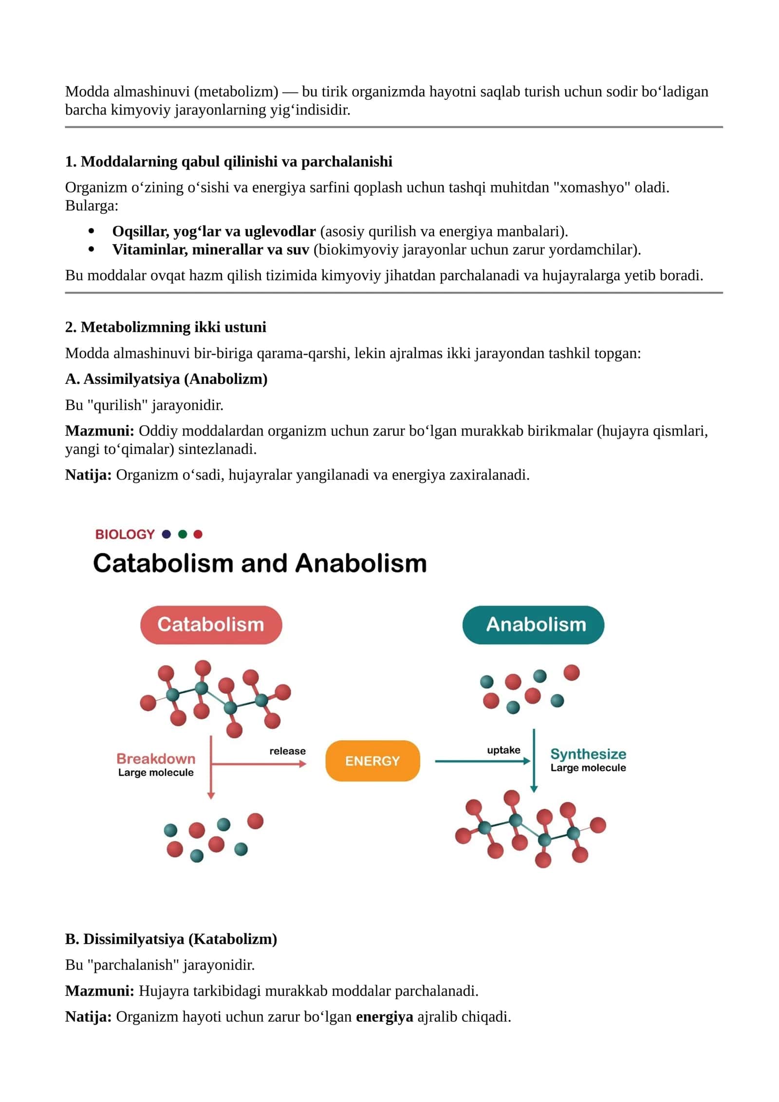 Modda almashinuvi (metabolizm) 1
