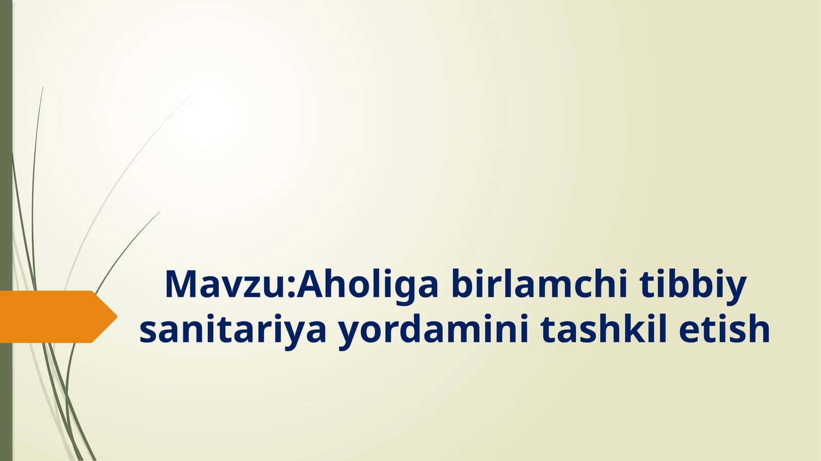 Aholigabirlamchitibbiysanitariyayordaminitashkiletish 1