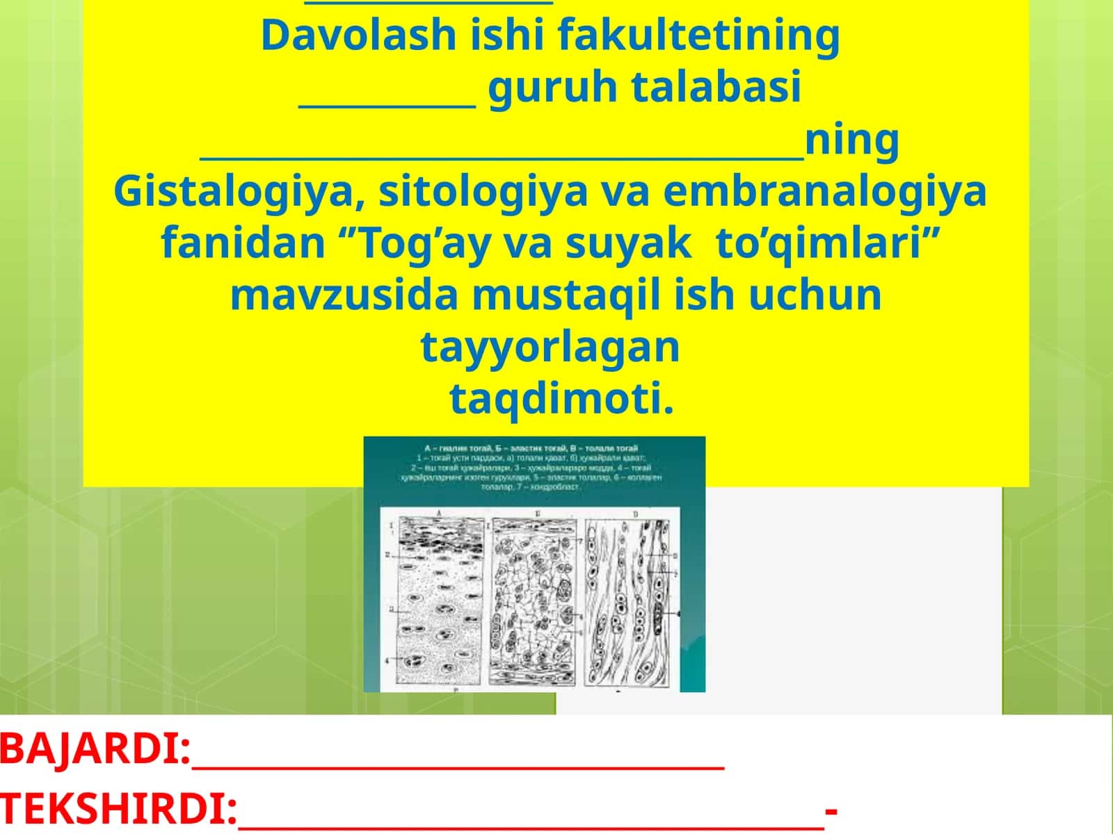 "Tog’ay va suyak to’qimlari" 1