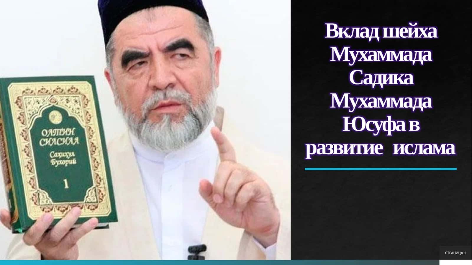Вклад шейха Мухаммада Садика Мухаммада Юсуфа в развитие ислама 1