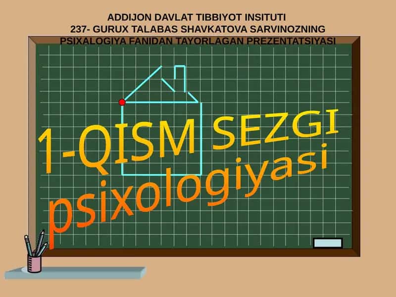 SEZGI 1