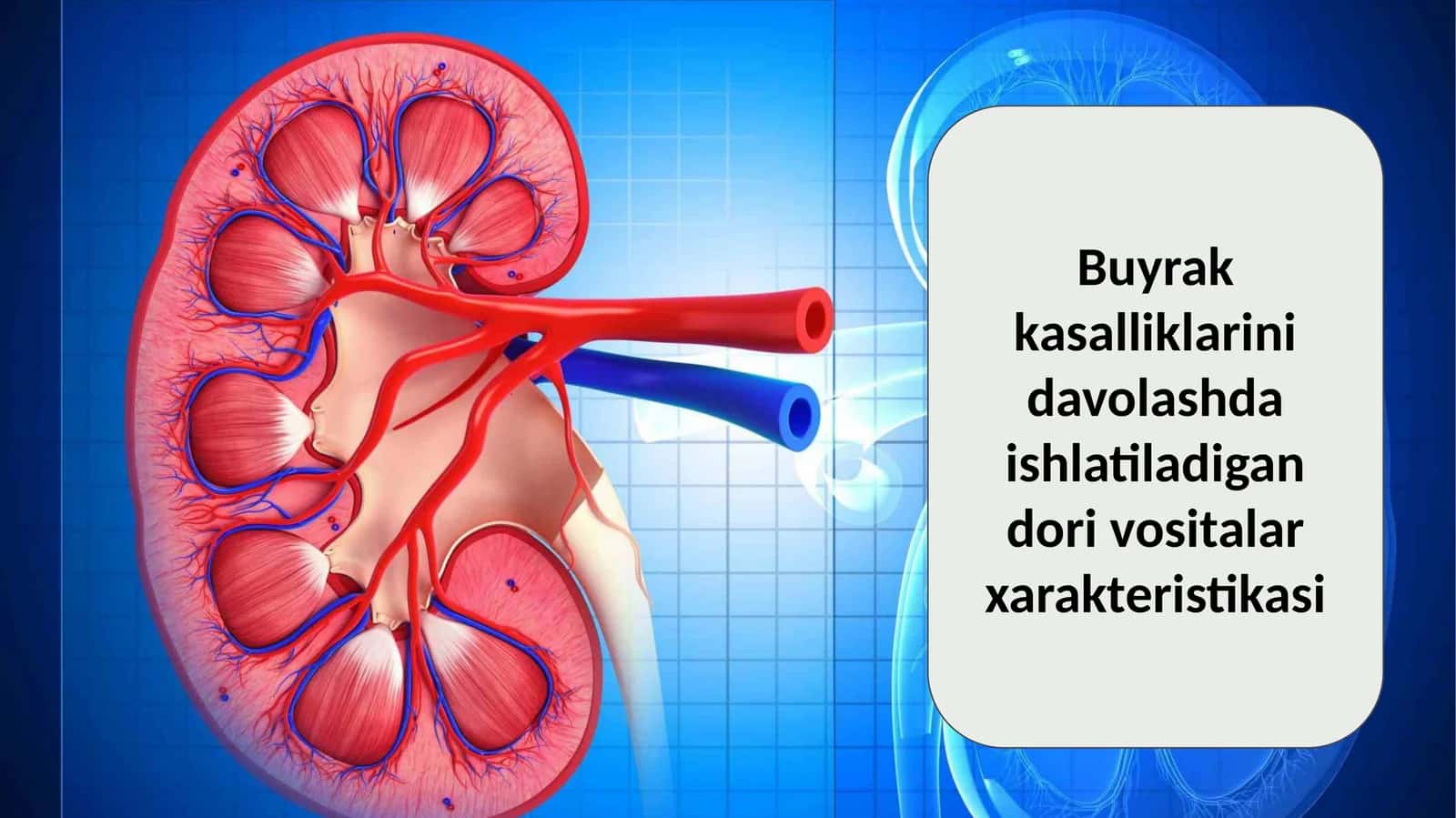 Buyrak kasalliklarini davolashda ishlatiladigan dori vositalar xarakteristikasi 1