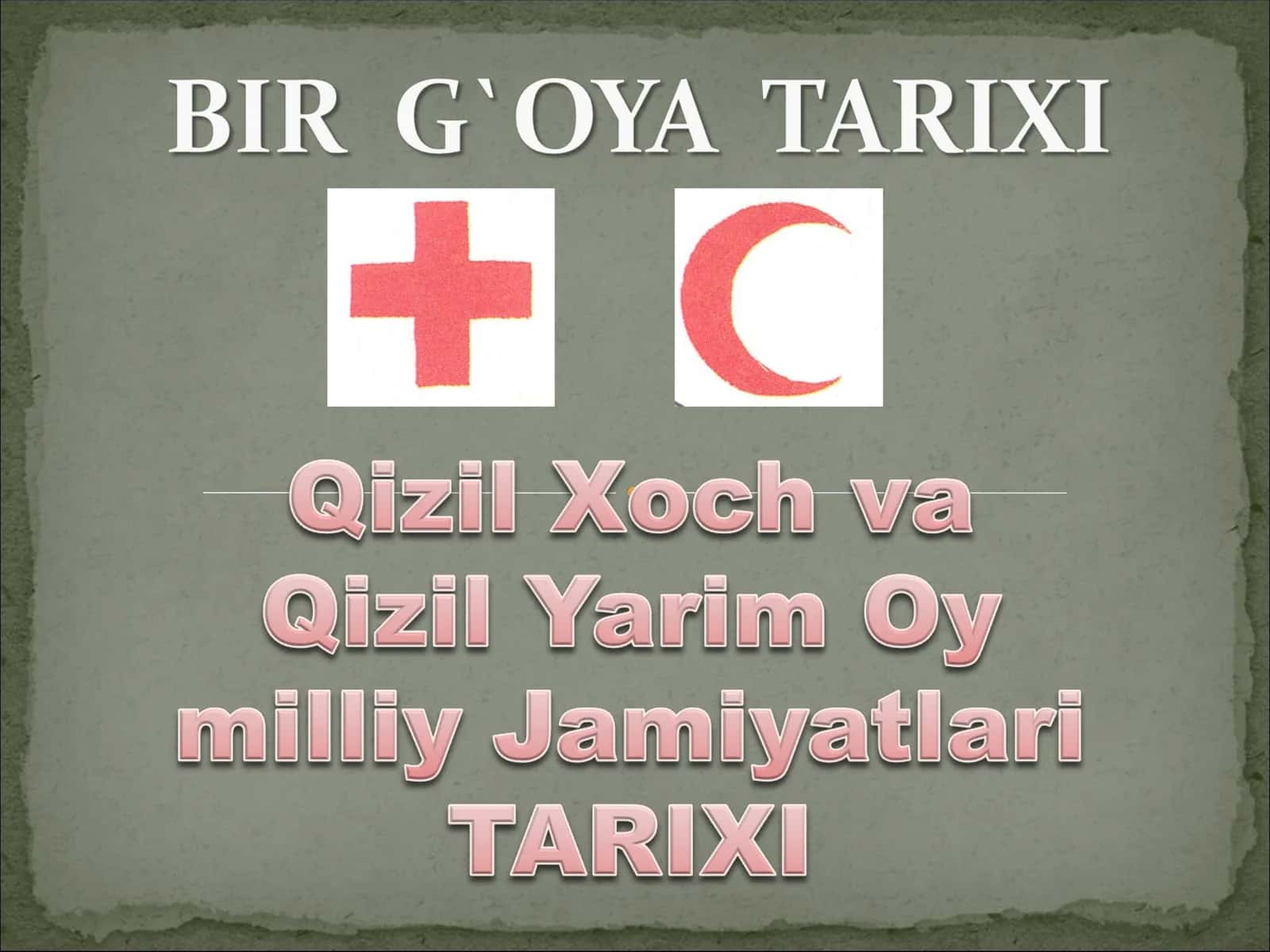 Qizil Xoch va Qizil Yarim Oy milliy Jamiyatlari TARIXI 1