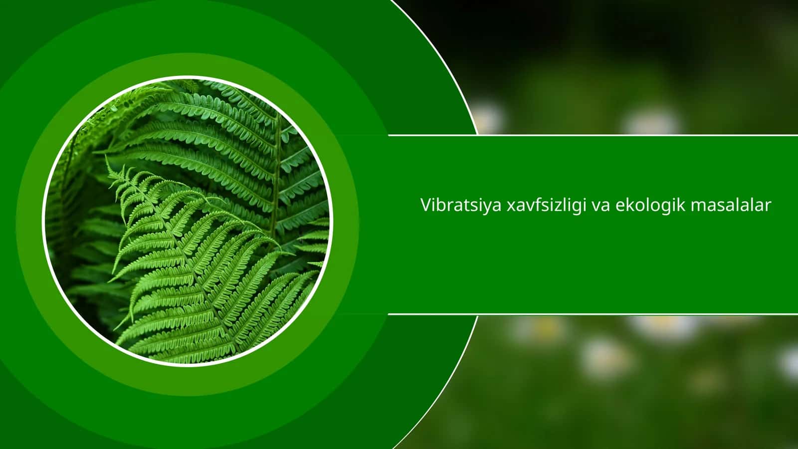 Vibratsiya xavfsizligi va ekologik masalalar 1