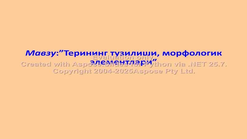 Терининг тузилиши, морфологик элементлари ва паразитар касалликлар 1