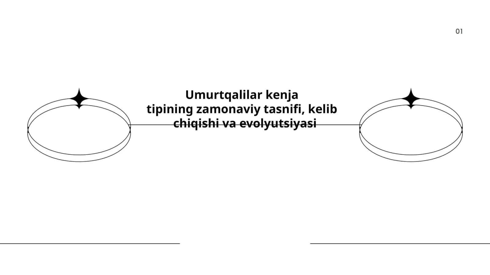 Umurtqalilar kenjatipining zamonaviy tasnifi, kelibchiqishi va evolyutsiyasi 1