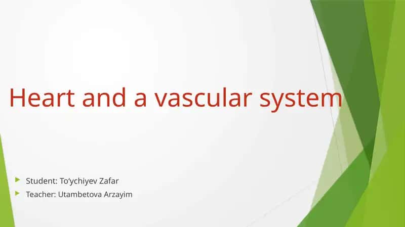Heart and a vascular system 1