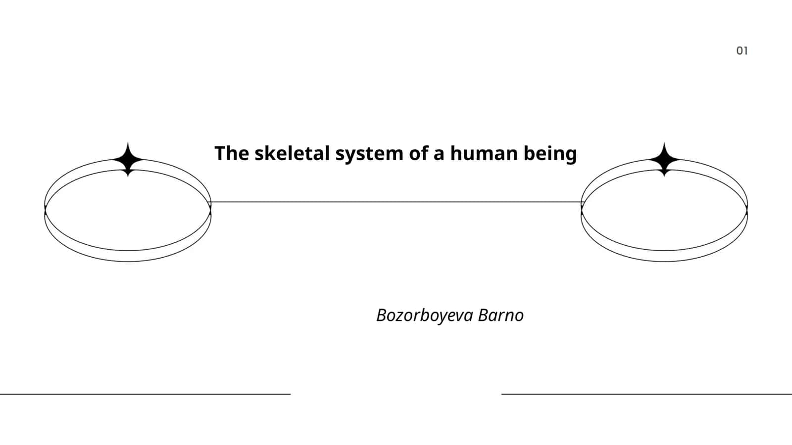 The skeletal system of a human being 1