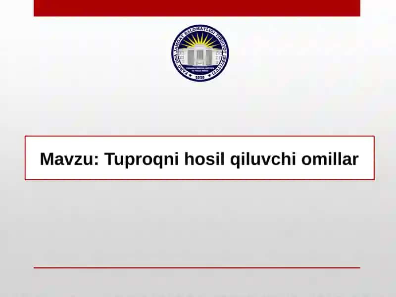 Tuproq hosil qilish jarayoni