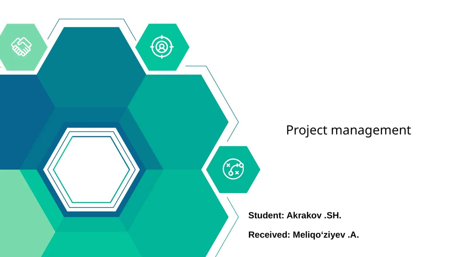 Project management 1