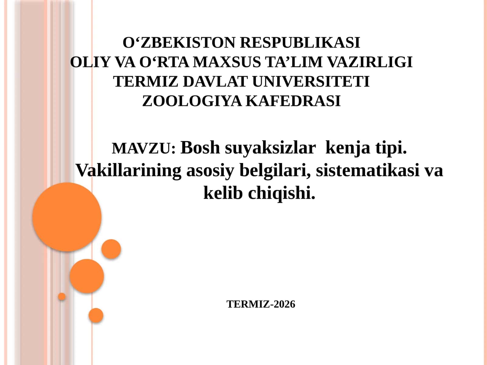 Boshsuyaksizlarkenjatipi.Vakillariningasosiybelgilari,sistematikasivakelibchiqishi 1