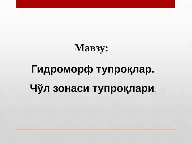 Гидроморфтупроқлар. Чўл зонаси тупроқлари