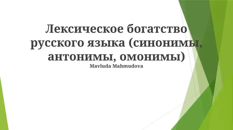 Лексическое богатство русского языка (синонимы, антонимы, омонимы) 1