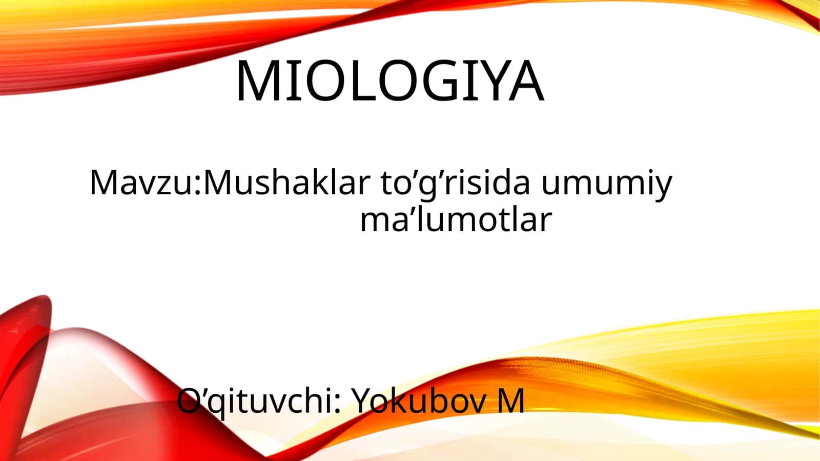 miologiya 1