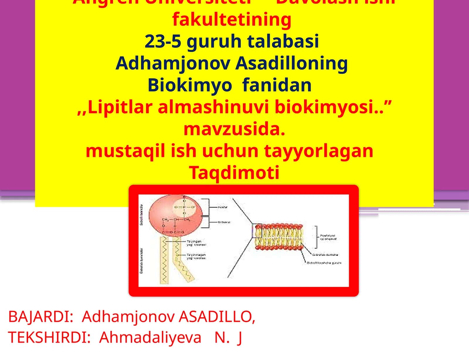 Lipidlar haqida umumiy tushunchalar 1