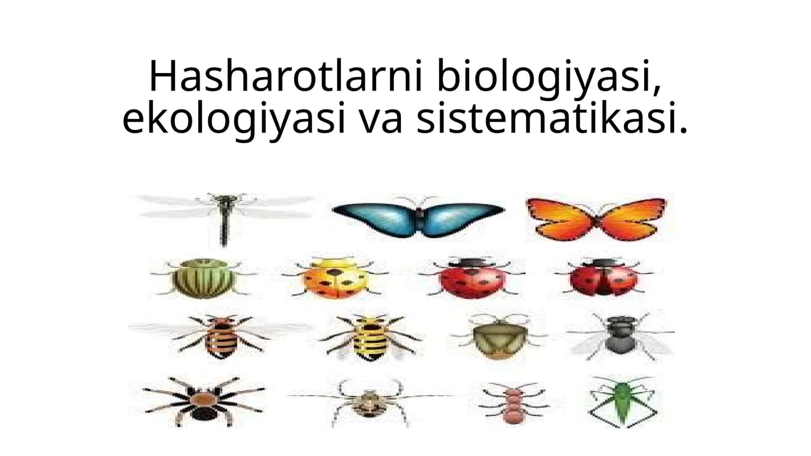 Hasharotlarni biologiyasi, ekologiyasi va sistematikasi 1