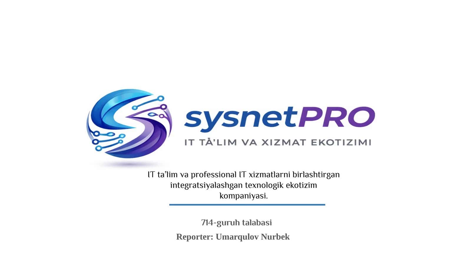 NETLINK IT ECOSYSTEM biznes reja 1