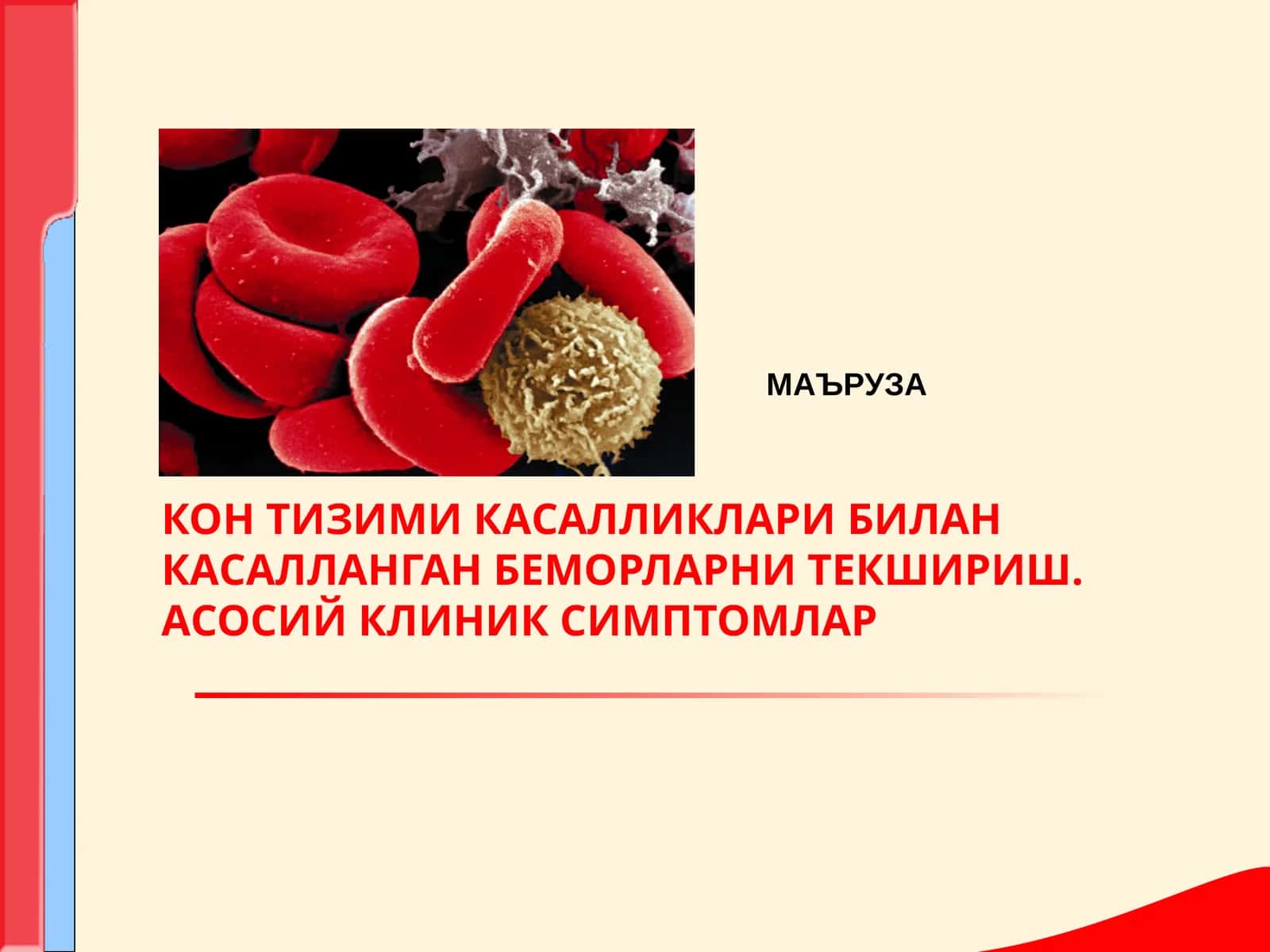 КОН ТИЗИМИ КАСАЛЛИКЛАРИ БИЛАН КАСАЛЛАНГАН БЕМОРЛАРНИ ТЕКШИРИШ. АСОСИЙ КЛИНИК СИМПТОМЛАР 1