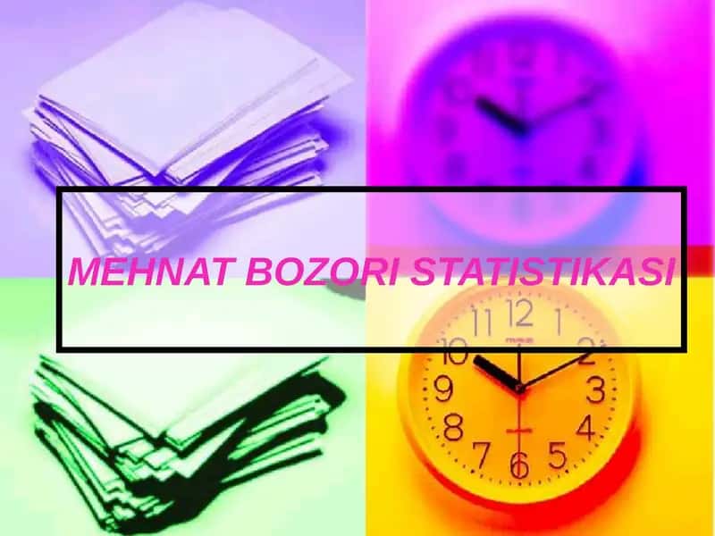 MEHNAT BOZORI STATISTIKASI 1