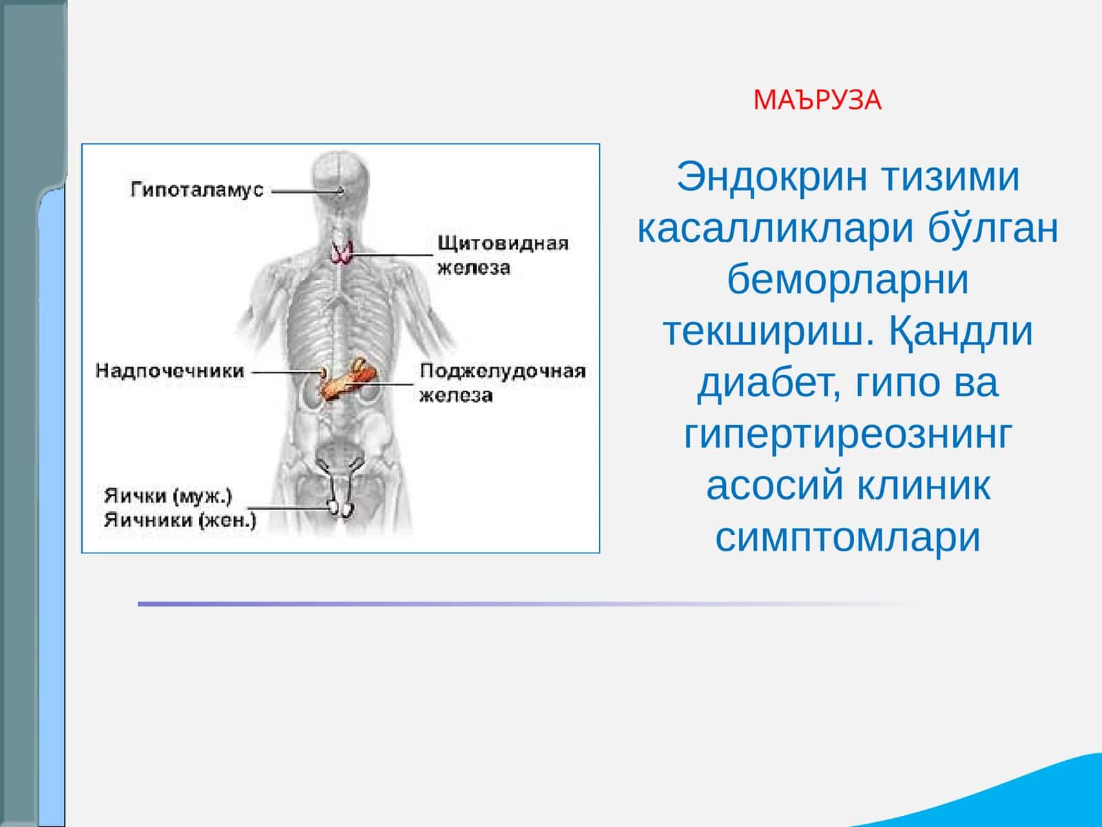 Эндокрин тизими касалликлари бўлган беморларни текшириш. Қандли диабет, гипо ва гипертиреознинг асосий клиник симптомлари 1