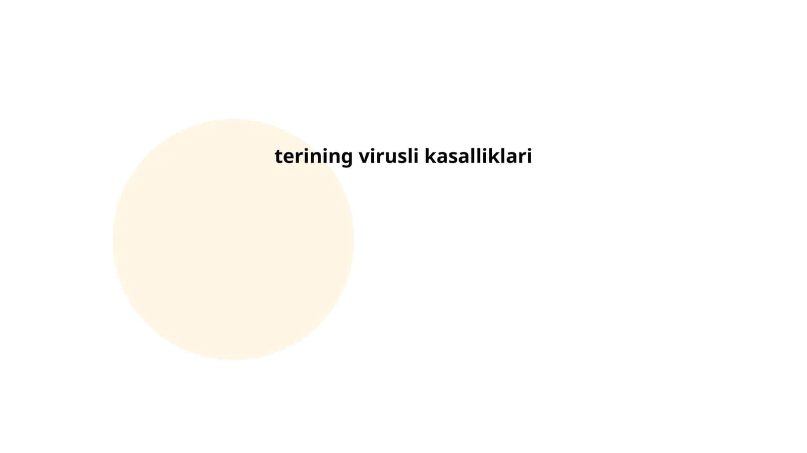 Maftuna 1