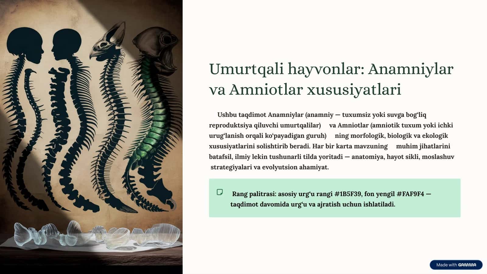 Umurtqali hayvonlar: Anamniylar va Amniotlar xususiyatlari 1