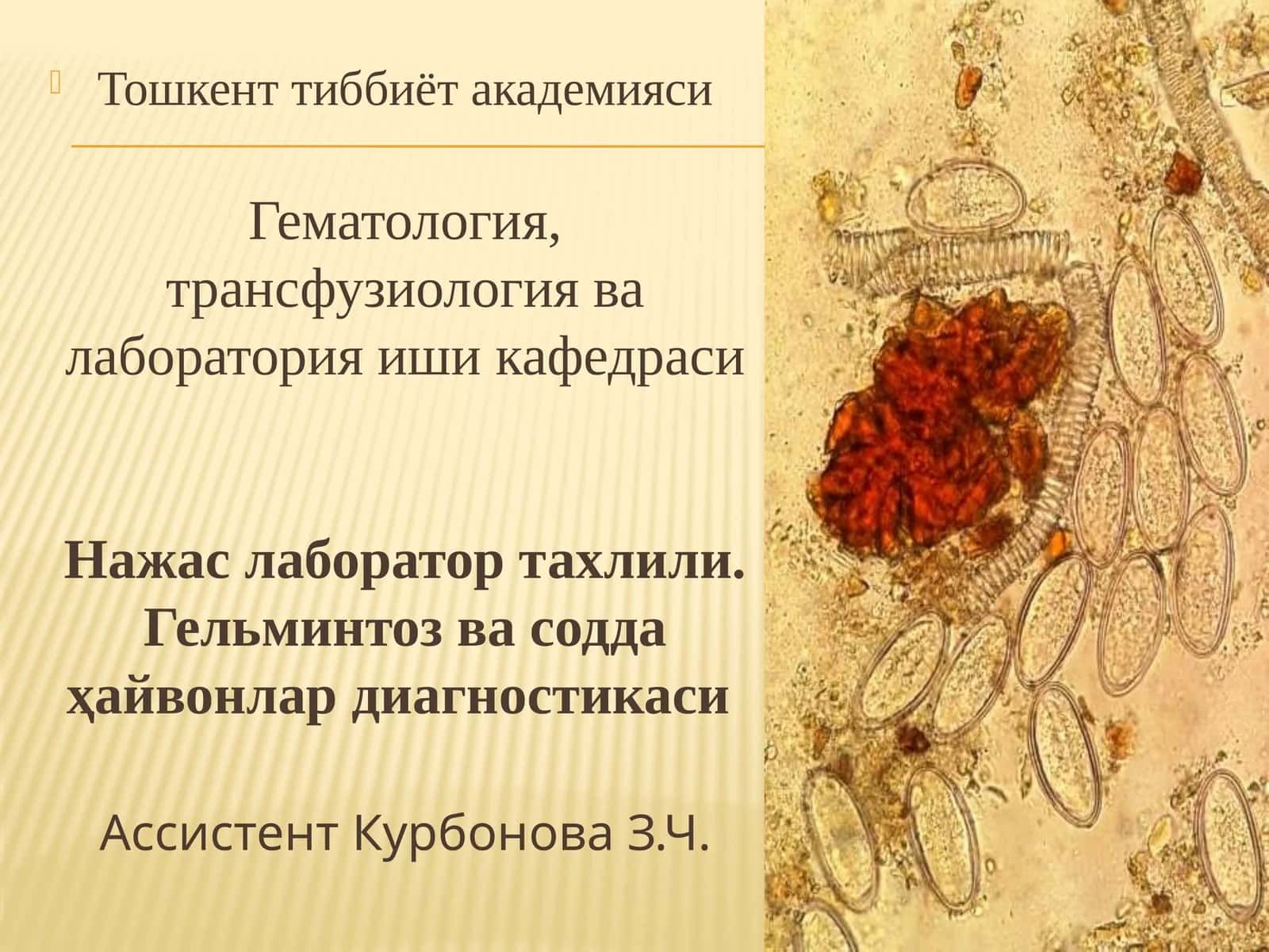 Ассистент қаригова 1