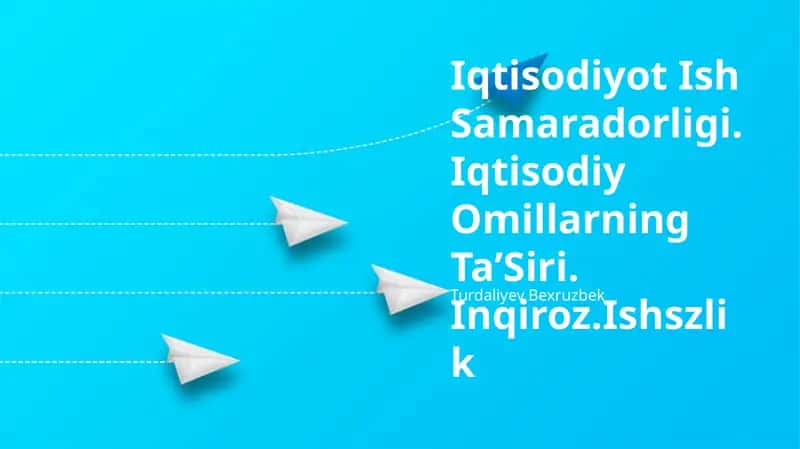 Iqtisodiy samaradorlik va mahsuldorlik 1
