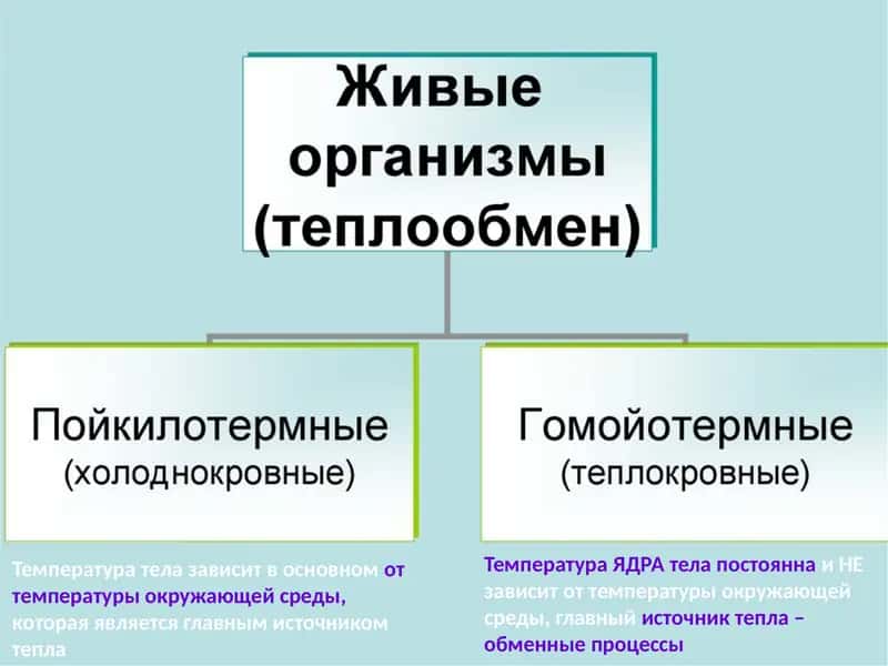 Температурани регуляция қилиш 1