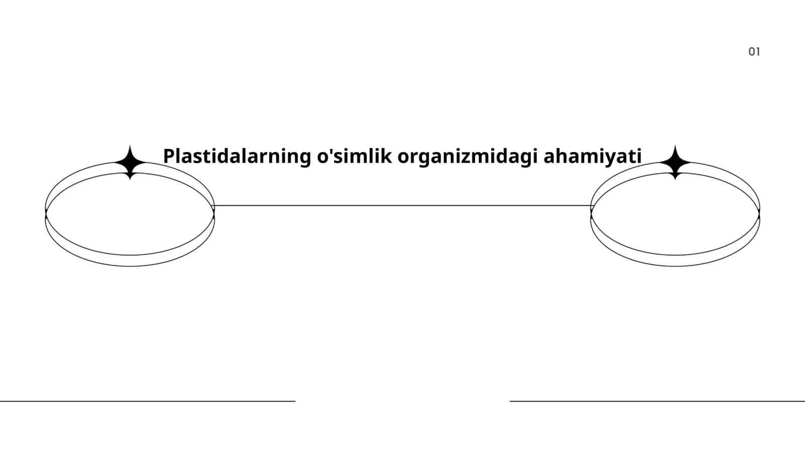 Plastidalarning o'simlik organizmidagi ahamiyati 1